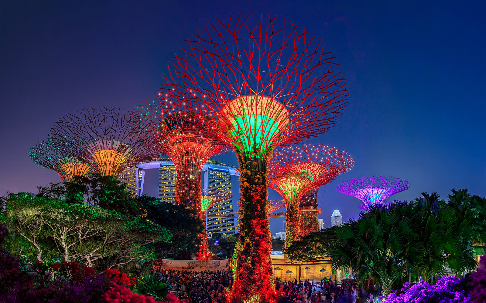 Top Things to Do in Changi Airport Singapore (2025 Travel Guide)