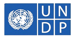 partner-undp