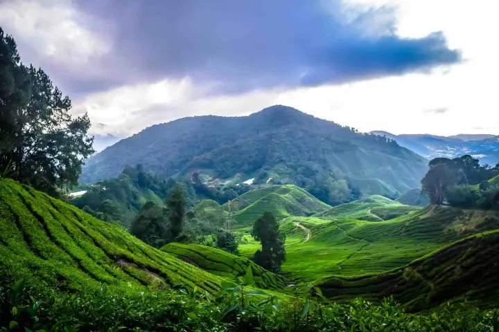 The Ultimate 14-Day Malaysia Cross-Country Road Trip Itinerary: The Definitive Overland Guide