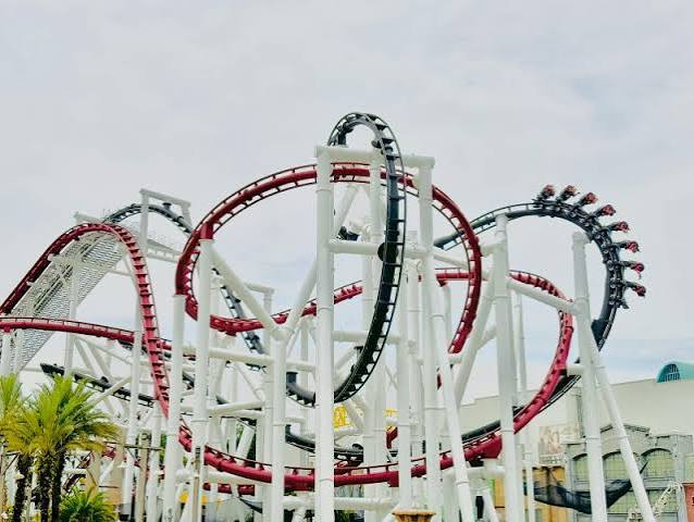 images (11).jpeg